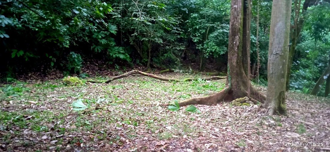 Land in Quepos, Puntarenas Province, Costa Rica 2 - 18237396