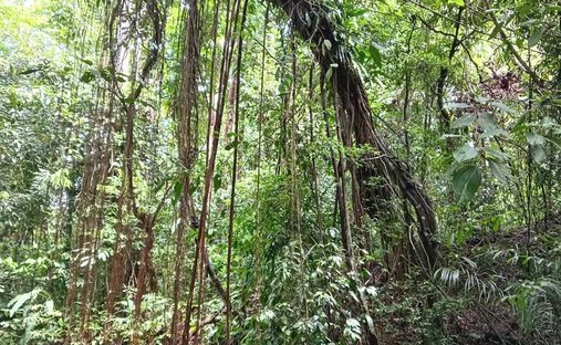 House in Punta Banco, Puntarenas Province, Costa Rica 1