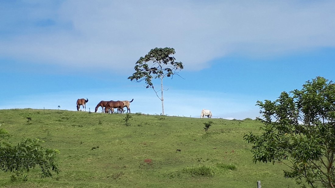 Land in Turrialba, Cartago Province, Costa Rica 3 - 18239248