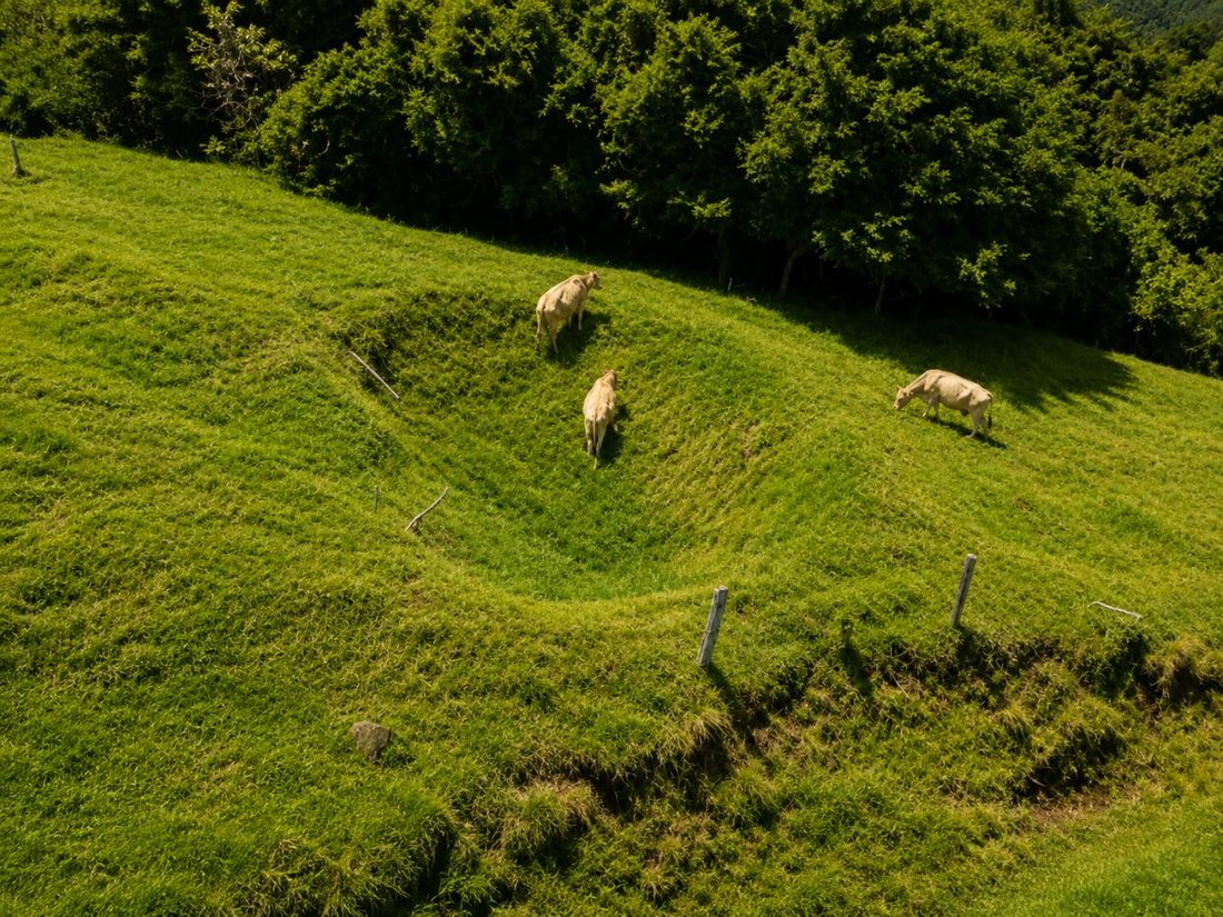 Land in Tilaran, Guanacaste Province, Costa Rica 3 - 18246395