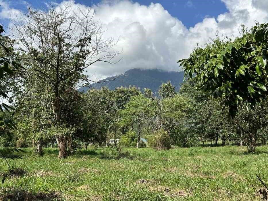 Land in Ojochal, Puntarenas Province, Costa Rica 5 - 18241307