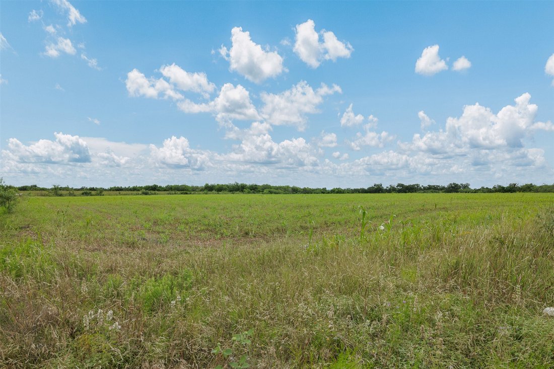 Farm Ranch in Coupland, Texas, United States 5 - 18236002