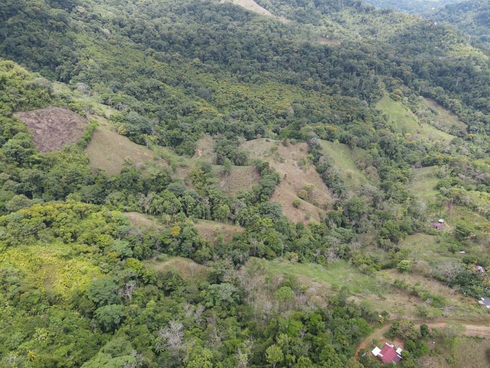 Land in Savegre de Aguirre, Puntarenas Province, Costa Rica 3 - 18237759