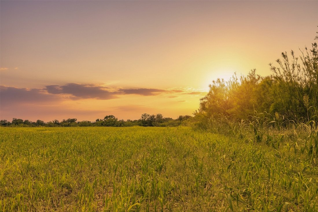 Farm Ranch in Coupland, Texas, United States 3 - 18236002