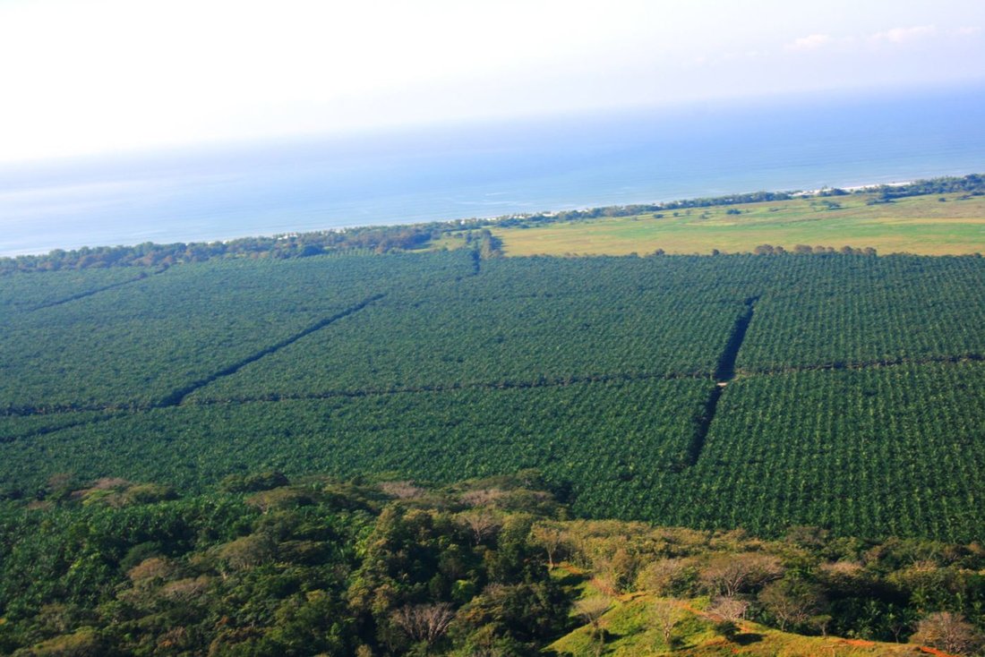 Land in Naranjito, Puntarenas Province, Costa Rica 4 - 18237916