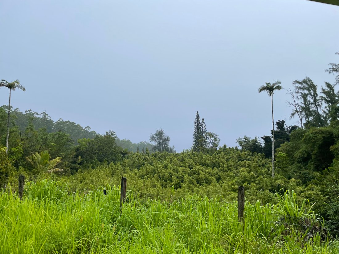 House in Hilo, Hawaii, United States 1 - 18241457