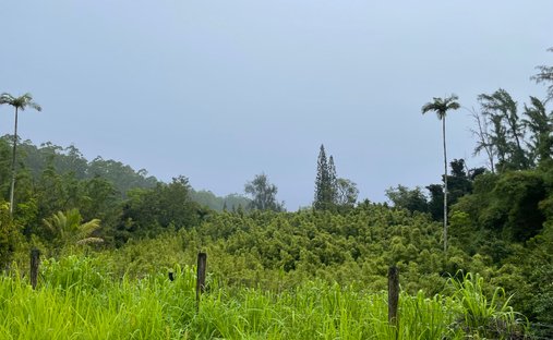 House in Hilo, Hawaii, United States 1