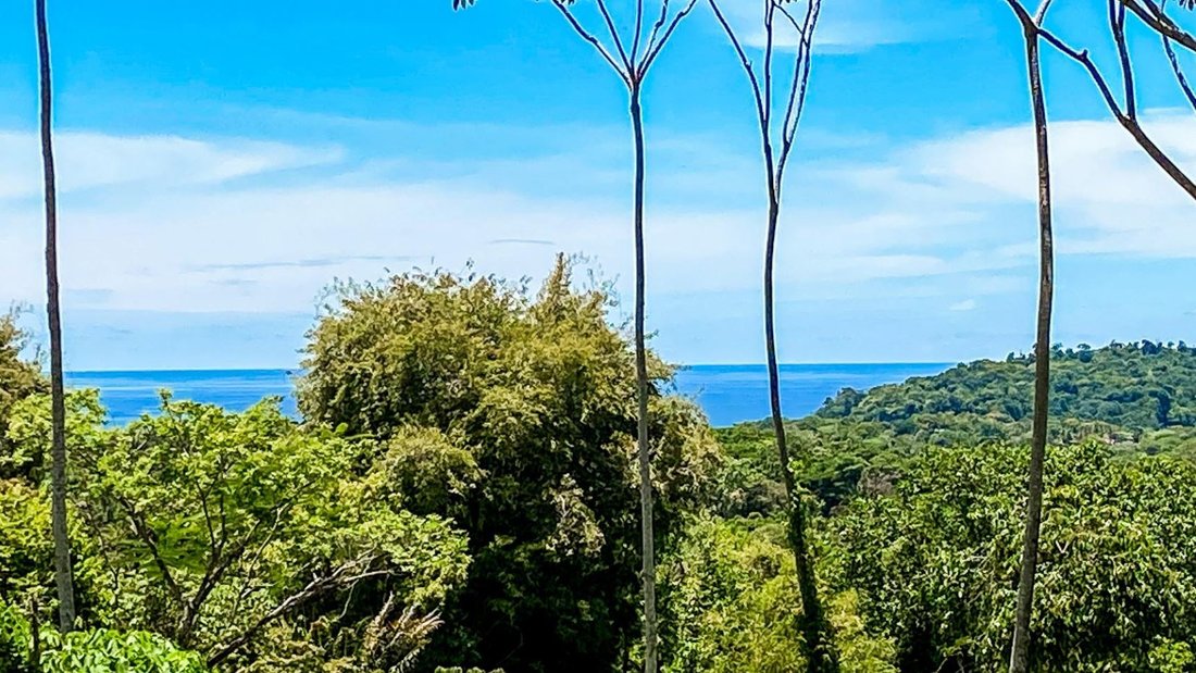 Land in Tortuga Arriba, Puntarenas Province, Costa Rica 2 - 18241278