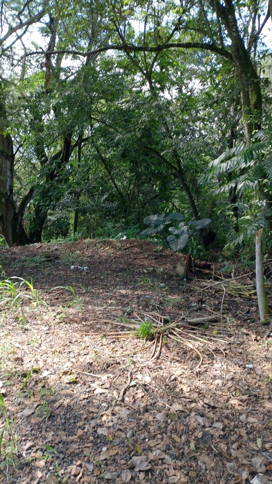 Land in Escobal, Guanacaste Province, Costa Rica 5 - 18239821