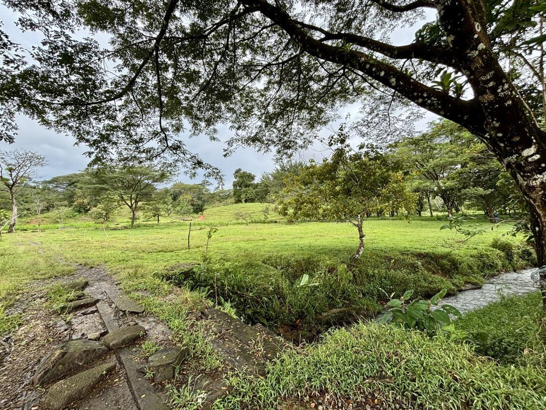 Land in Quepos, Puntarenas Province, Costa Rica 5 - 18241101