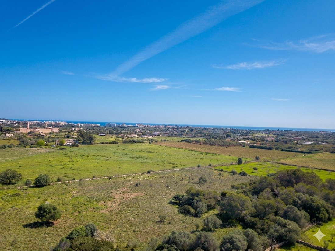 Terreno a Manacor, Isole Baleari, Spagna 3 - 18242081