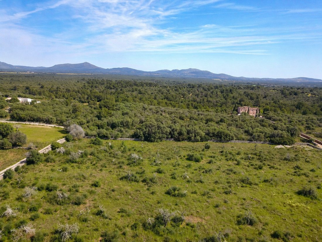 Terrain à Santa Margalida, Îles Baléares, Espagne 5 - 18241966