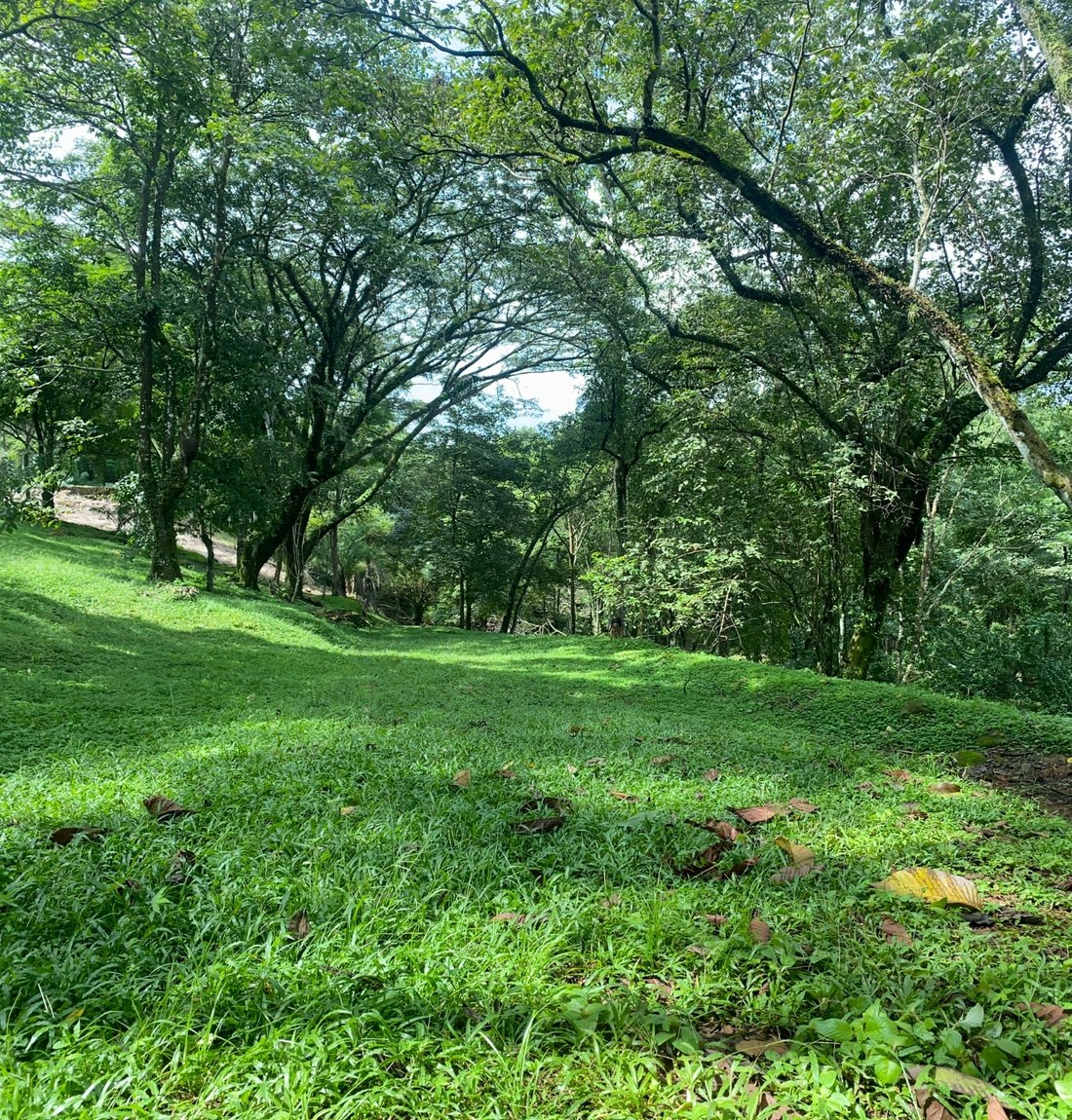Land in Orotina, Orotina, Costa Rica 5 - 18238775