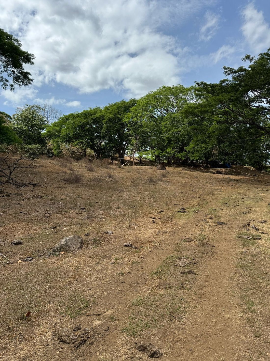 Land in Alajuela, Costa Rica 2 - 18241004