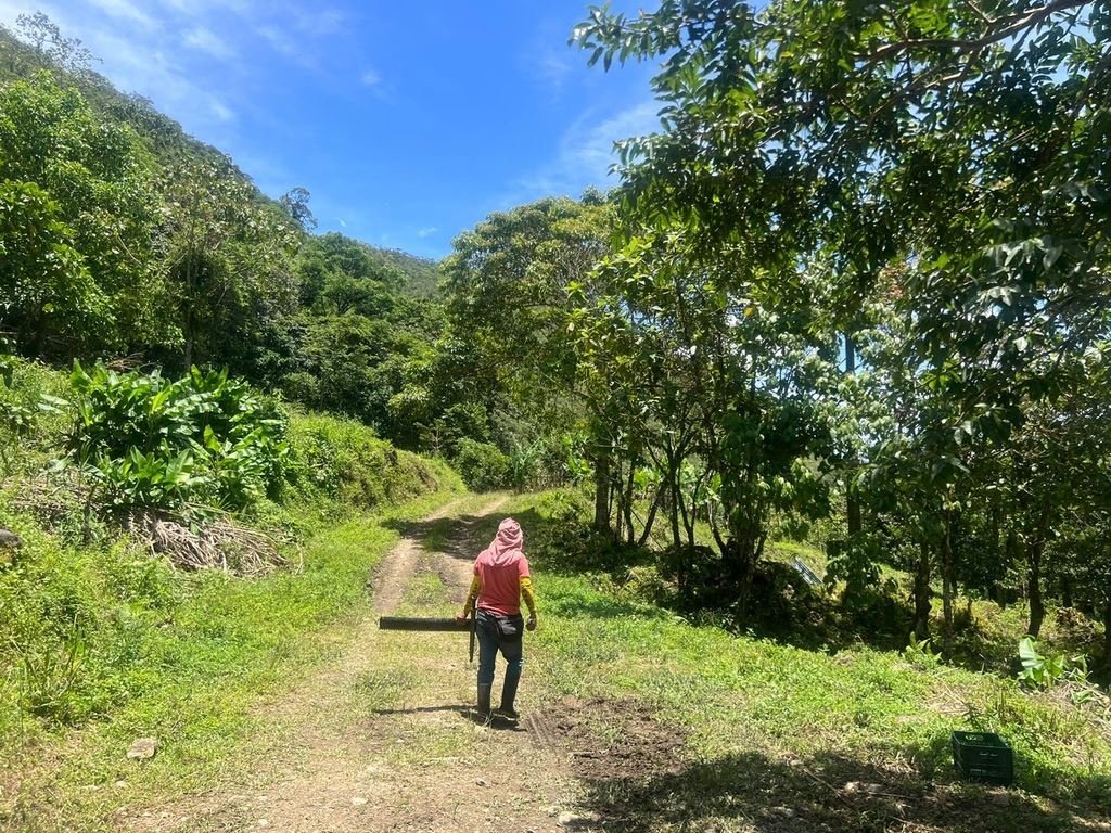 Terreno en Paraíso, Provincia de Cartago, Costa Rica 2 - 18240736