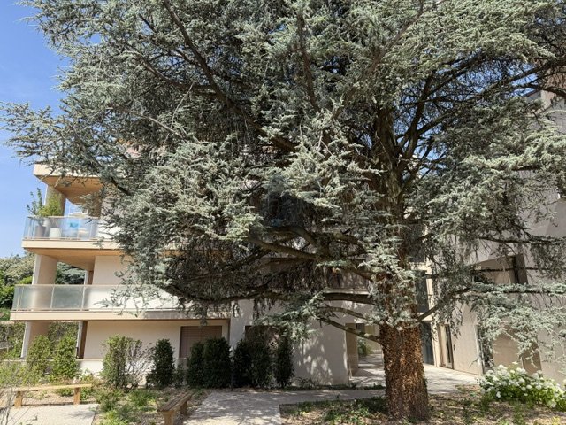 Apartment in Sainte-Foy-lès-Lyon, Auvergne-Rhône-Alpes, France 1 - 17342030
