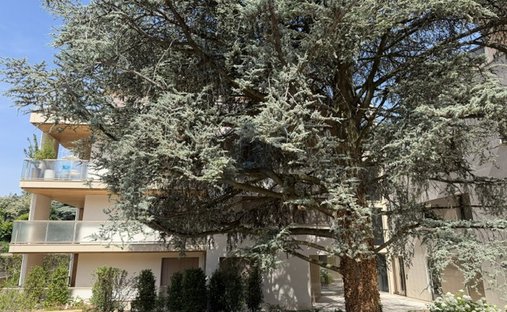 Apartment in Sainte-Foy-lès-Lyon, Auvergne-Rhône-Alpes, France 1
