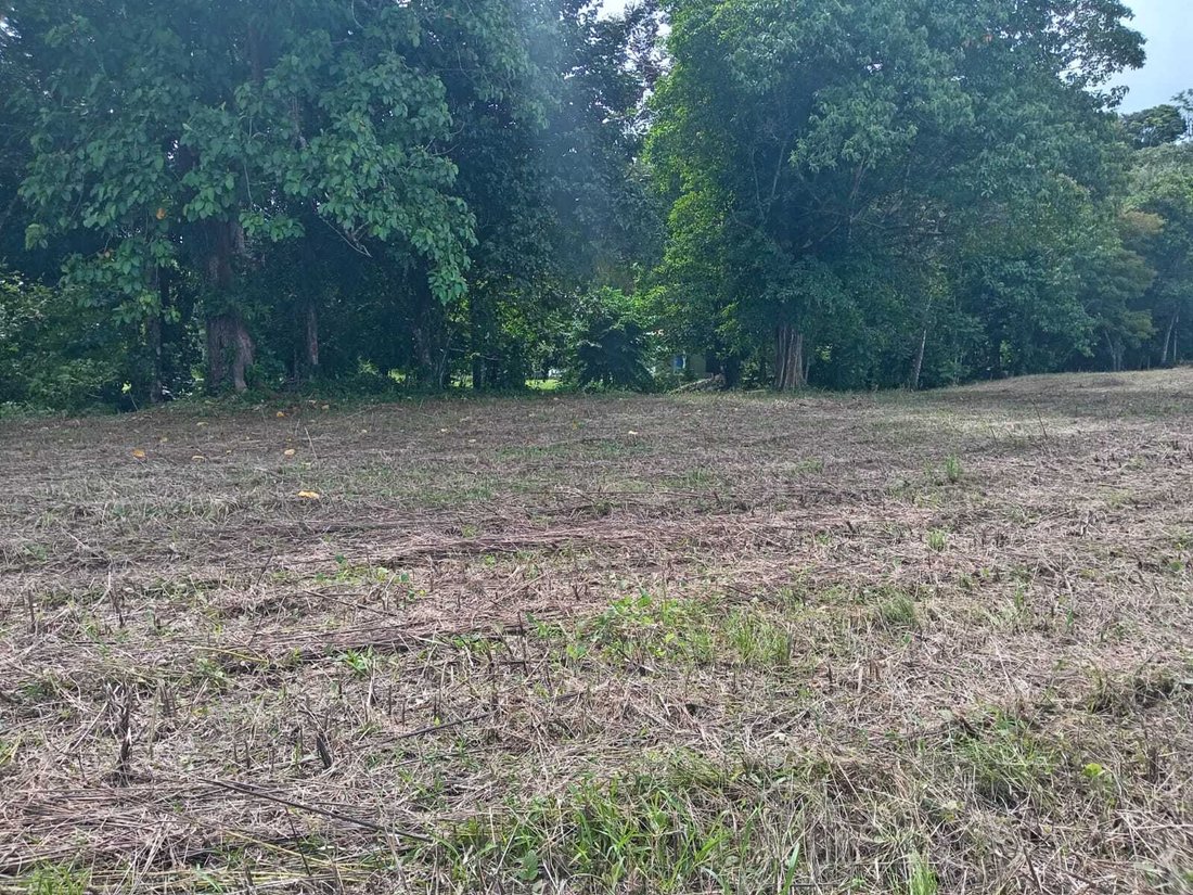 Land in Pavones, Puntarenas Province, Costa Rica 3 - 18246580