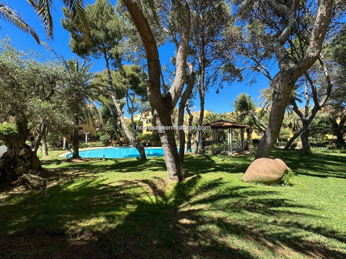 Apartment in Rotes Velles, Calvia, Balearic Islands 4 - 18245213