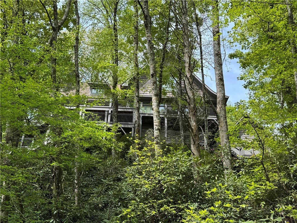 House in Blowing Rock, North Carolina, United States 2 - 18241420