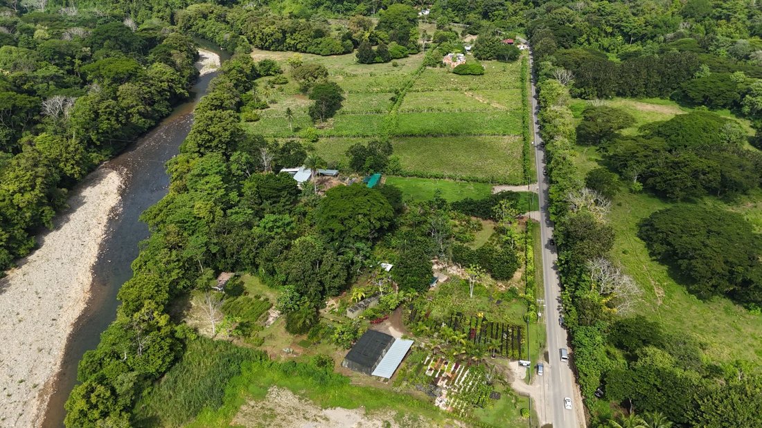 Land in Savegre de Aguirre, Puntarenas Province, Costa Rica 5 - 18246448