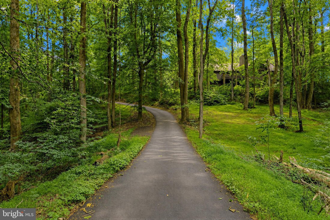 House in La Plata, Maryland, United States 5 - 18235678