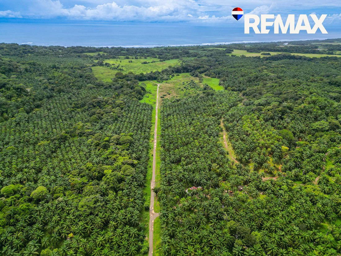 Land in Parrita, Costa Rica 1 - 18245786