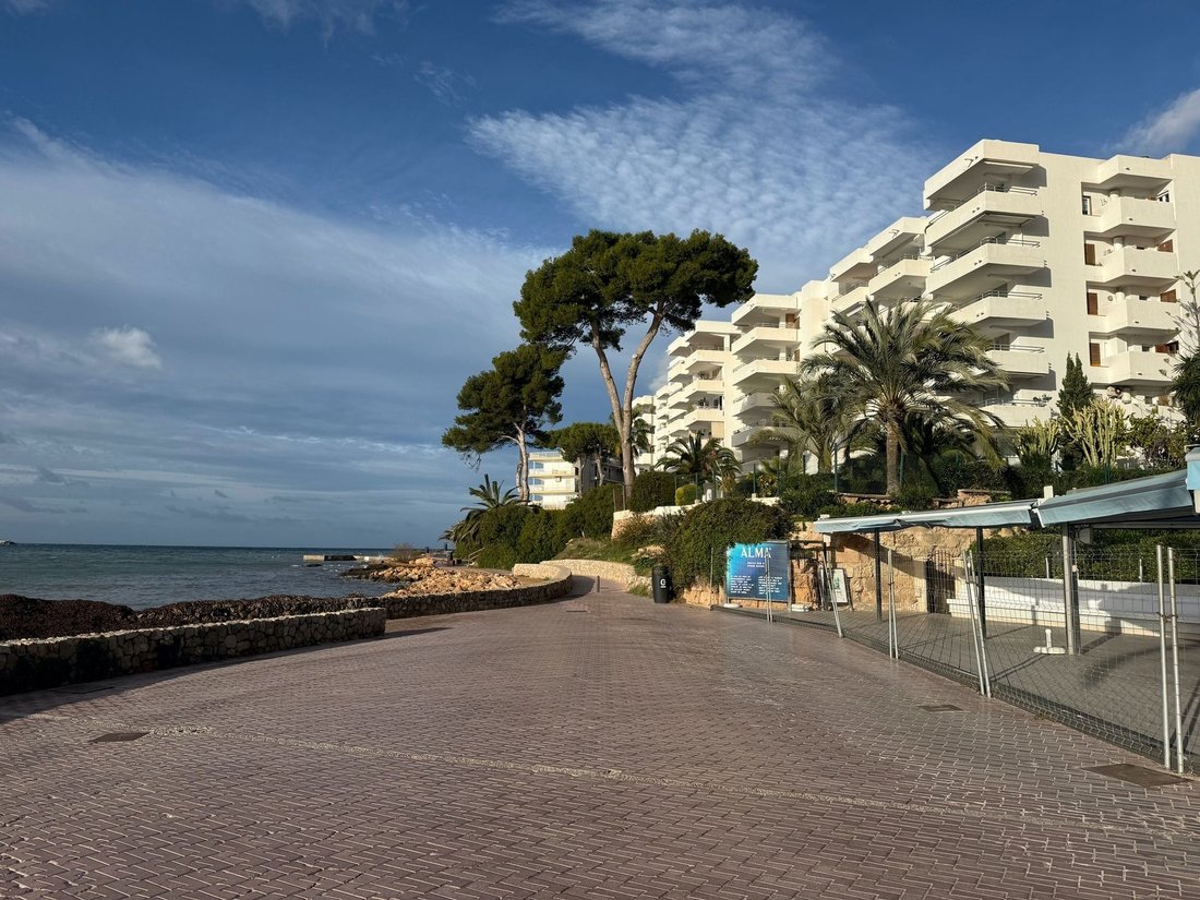 Apartment in Rotes Velles, Calvia, Balearic Islands 1 - 18245554