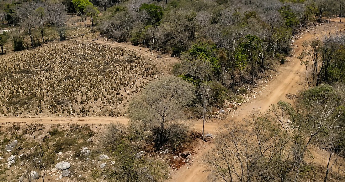 Land in Los Capulines, Guerrero, Mexico 1 - 18245973