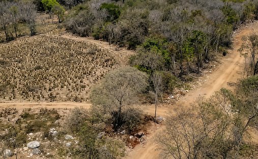 Land in Los Capulines, Guerrero, Mexiko 1
