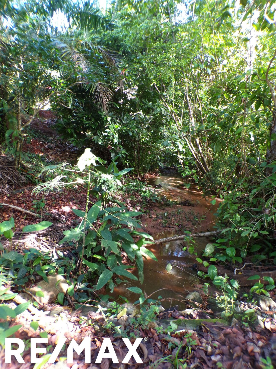 Land in La Virgen, Puntarenas Province, Costa Rica 2 - 18246544