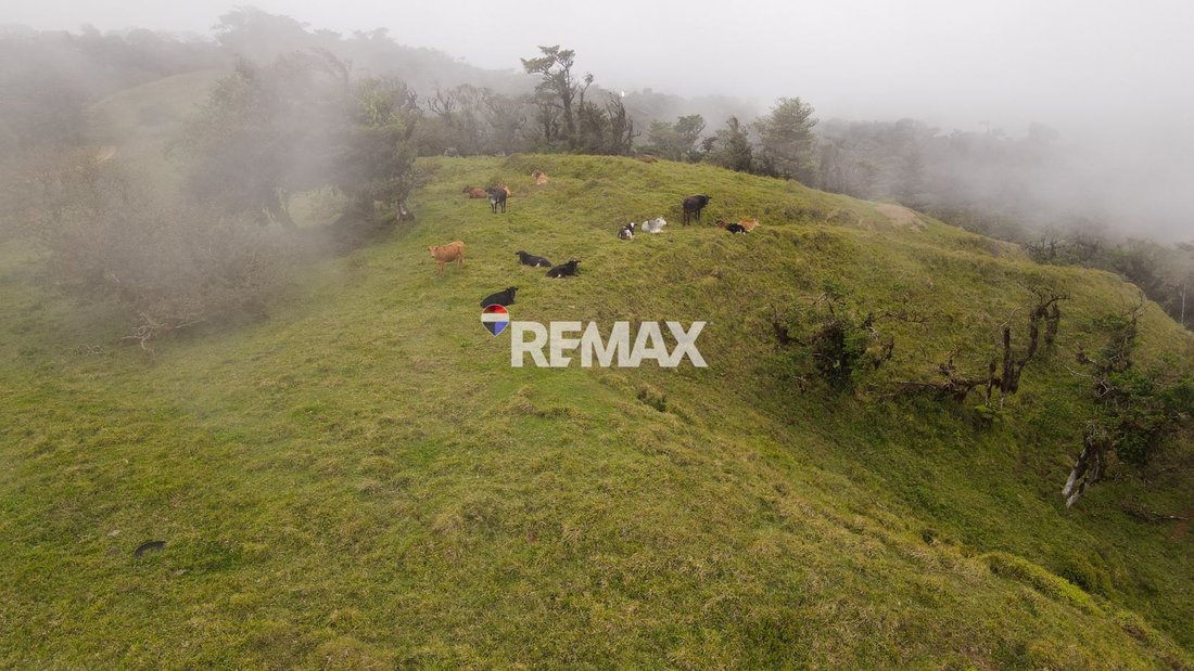 Land in Angeles Sur, Guanacaste Province, Costa Rica 2 - 18240912