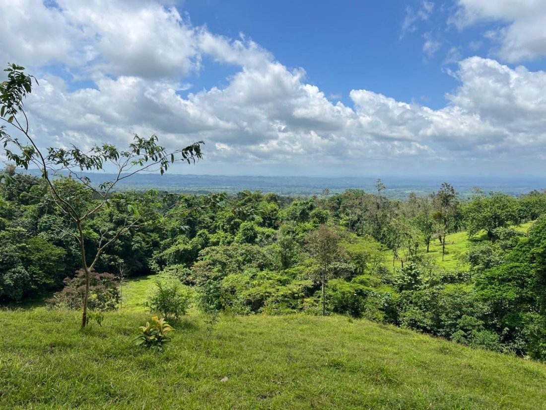 Terrain à Zeta trece, Alajuela, Costa Rica 3 - 18236957