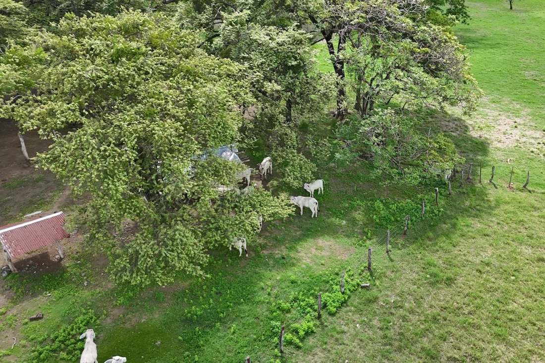 Land in Tamarindo, Santa Cruz, Costa Rica 3 - 18247010