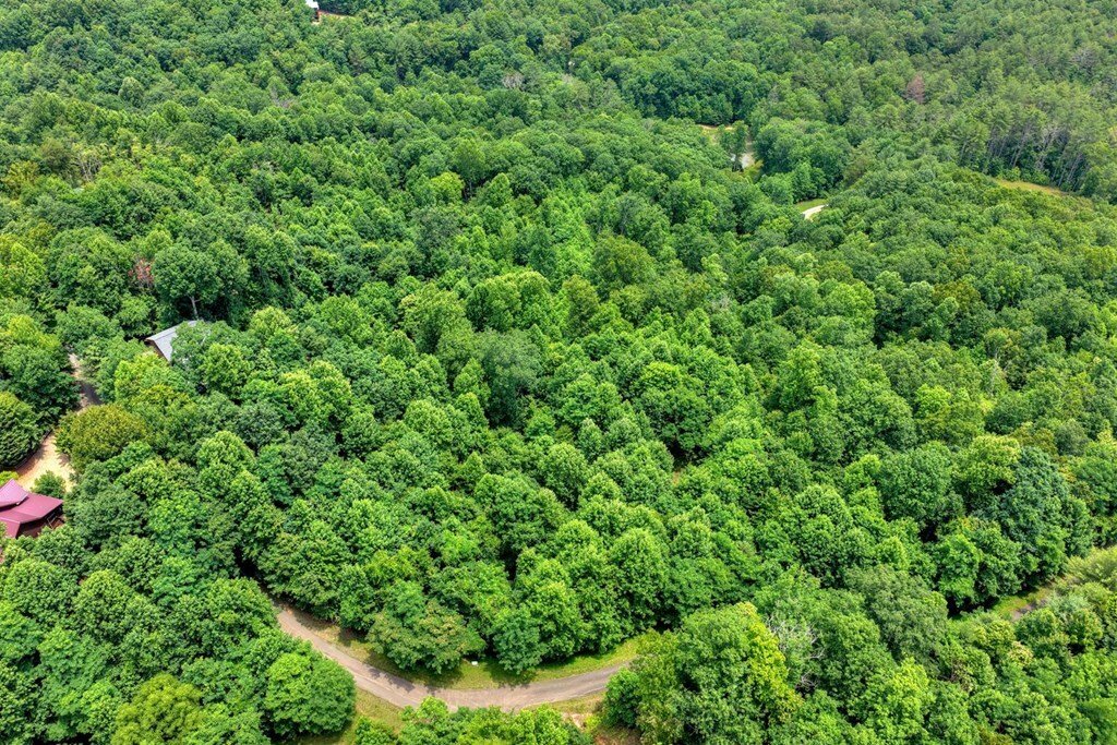 Land in Mineral Bluff, Georgia, United States 5 - 18238220