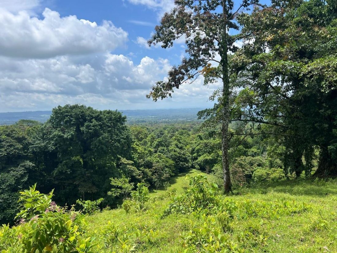 Terrain à Zeta trece, Alajuela, Costa Rica 5 - 18236957