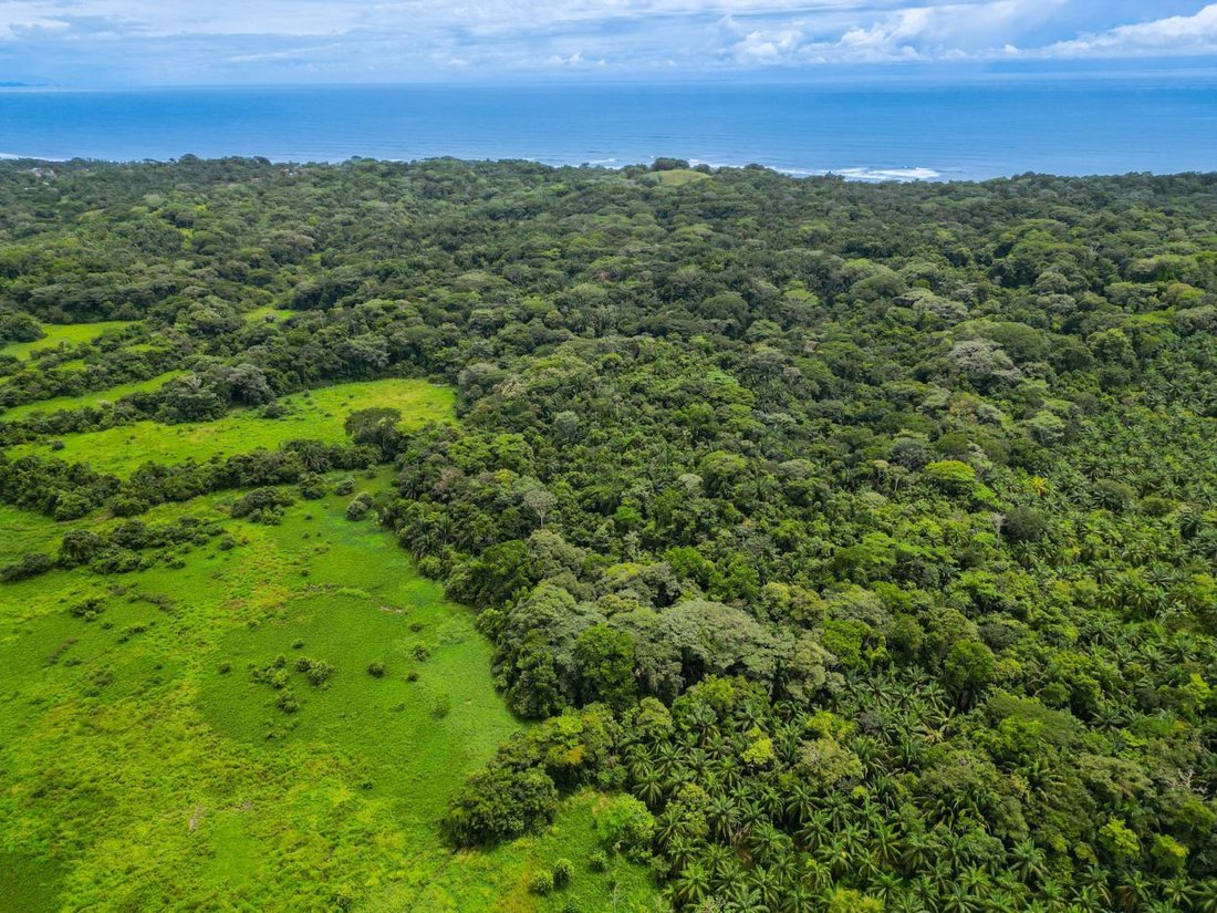 Land in Parrita, Parrita, Costa Rica 1 - 18238062