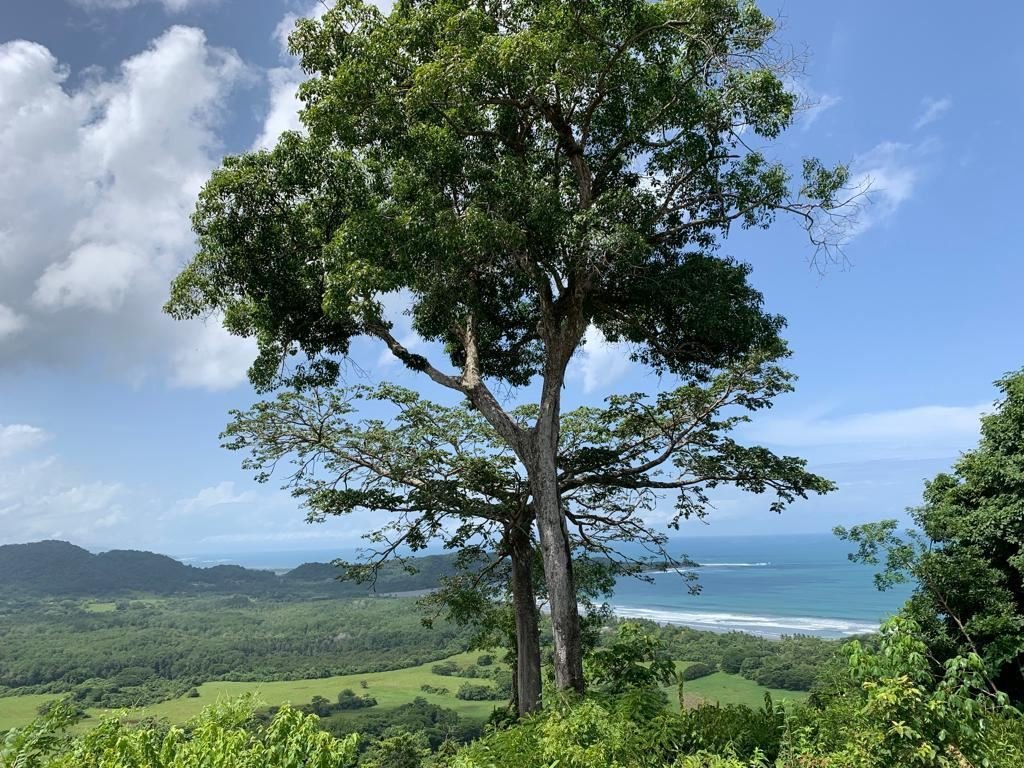 Land in Hojancha, Nandayure, Costa Rica 3 - 18235771