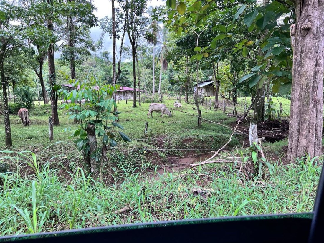 Land in Parrita, Parrita, Costa Rica 3 - 18241113