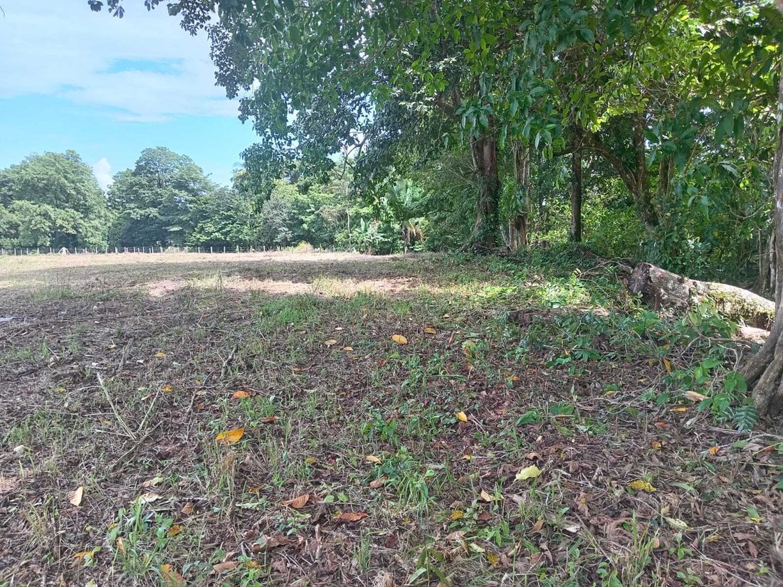 Land in Pavones, Puntarenas Province, Costa Rica 5 - 18246580