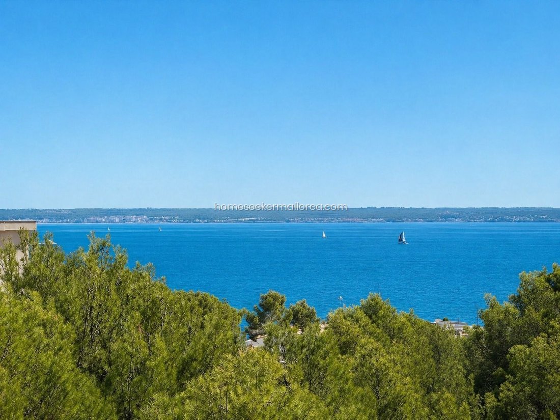 Apartment in Cas Catala, Calvia, Balearic Islands 3 - 18243132