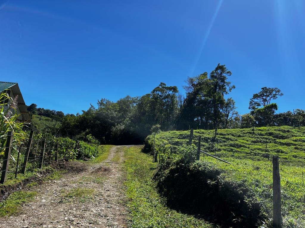 Land in Puntarenas, Tilarán, Costa Rica 1 - 18240928