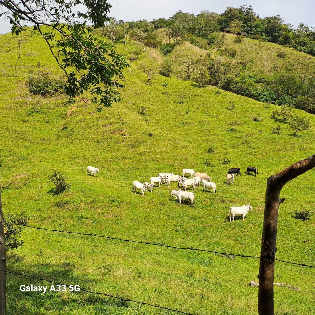 Land in Montes de Oro, Montes de Oro, Costa Rica 3 - 18238301