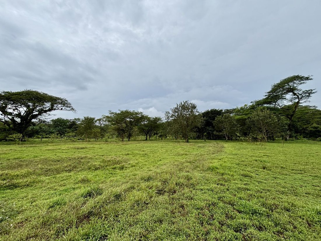 Land in Quepos, Puntarenas Province, Costa Rica 4 - 18241101