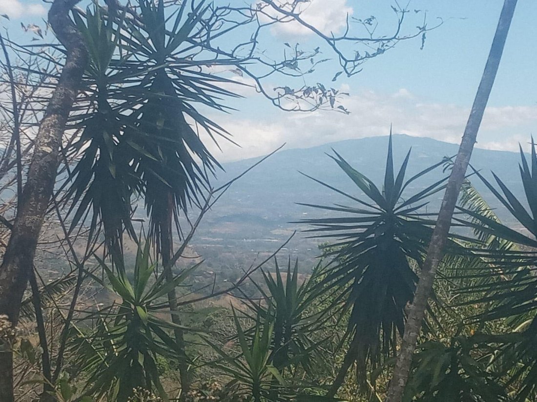 Land in Jesús, Provinz Alajuela, Costa Rica 4 - 18240689