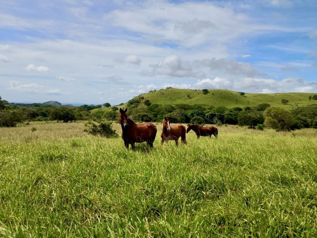 Land in Tilaran, Guanacaste Province, Costa Rica 1 - 18237208