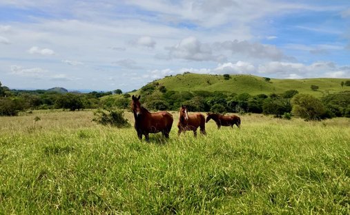 Land in Tilaran, Guanacaste Province, Costa Rica 1