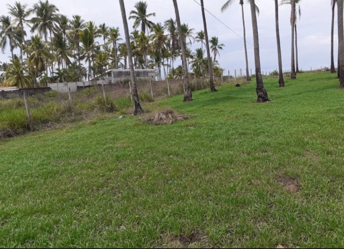 Land in El Roble, Puntarenas Province, Costa Rica 3 - 18240854