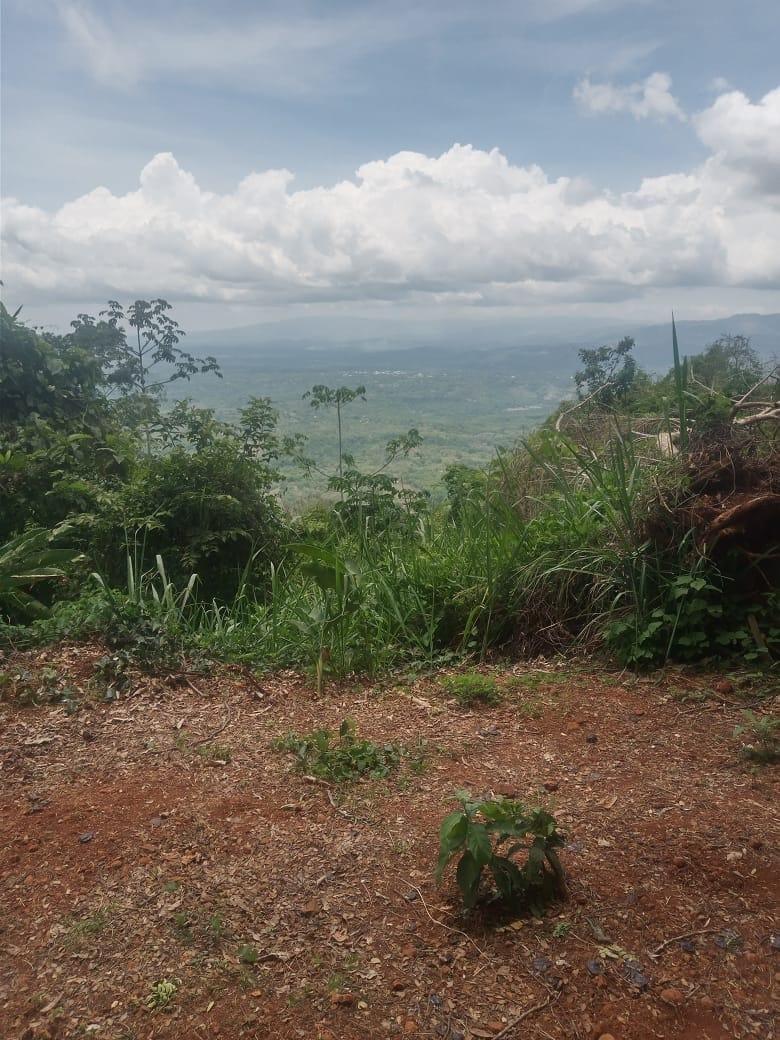 Terrain à Turrubares, Turrubares, Costa Rica 3 - 18241042