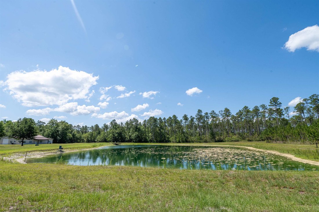 House in Hosford, Florida, United States 3 - 18241381
